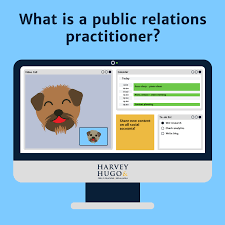 public relations practitioner