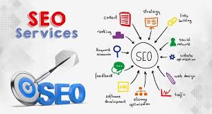 expert on seo