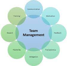 management