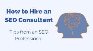 professional seo consultant