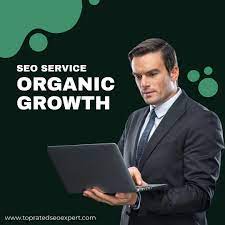 organic seo consultant